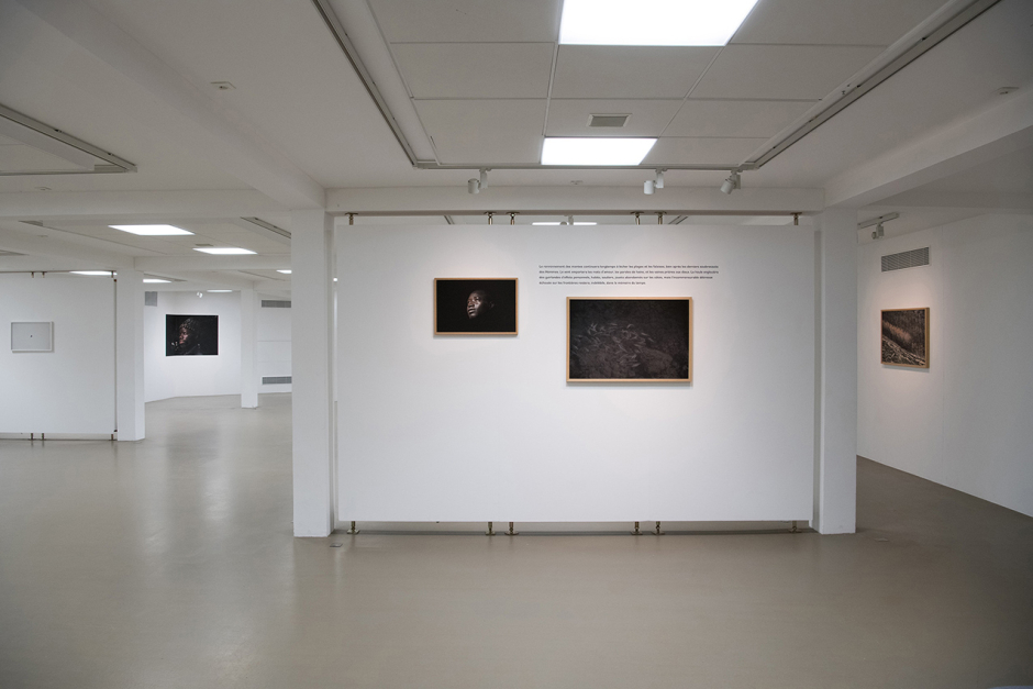 Expo_Maison_des_arts_du_Léman