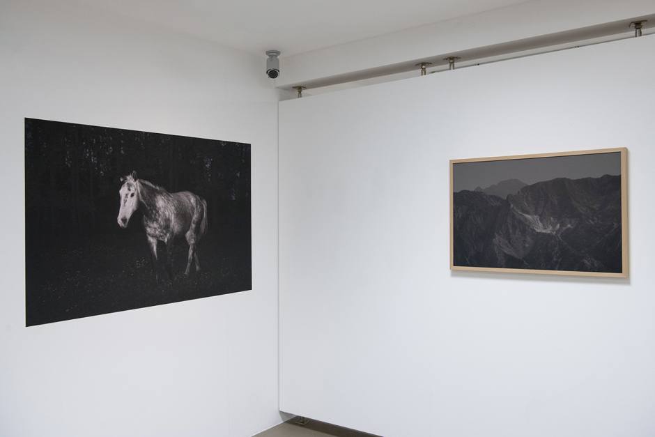 Expo_Maison_des_arts_du_Léman