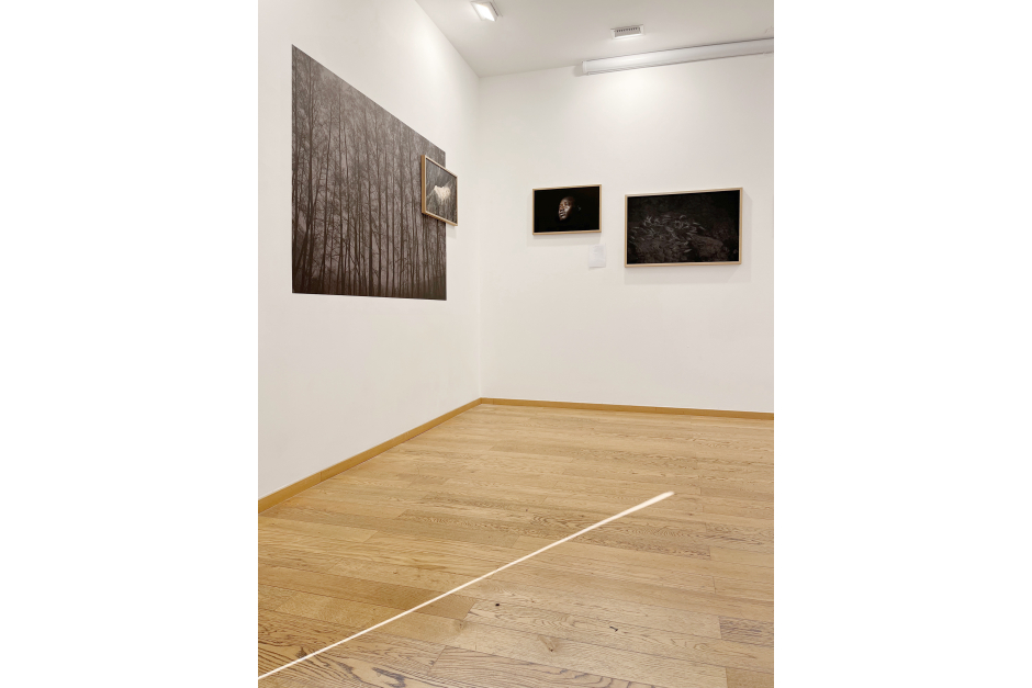 Expo Maupetit 01